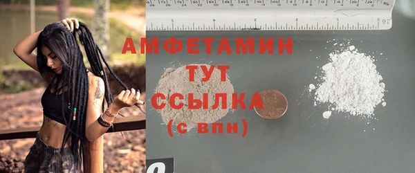 ПСИЛОЦИБИНОВЫЕ ГРИБЫ Заволжье