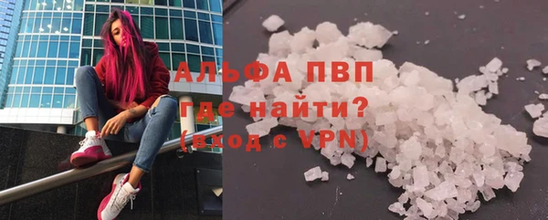ПСИЛОЦИБИНОВЫЕ ГРИБЫ Заволжье