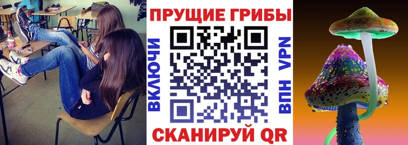 Галлюциногенные грибы Cubensis  Калининск 